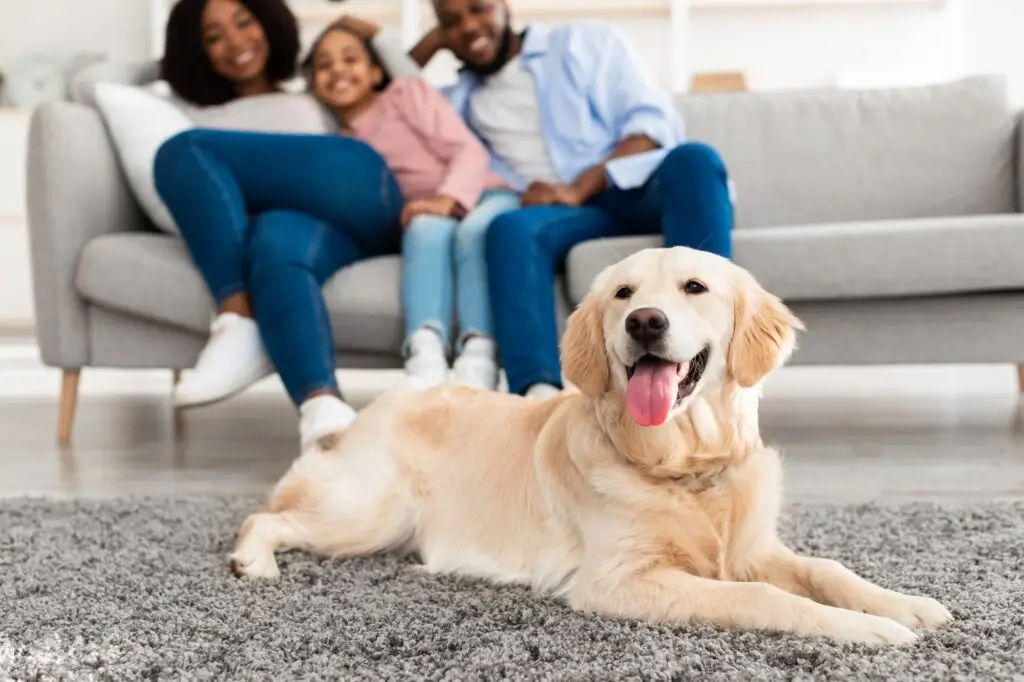 How We Can Help You Get Rid of Pest in Pompano Beach, FL.