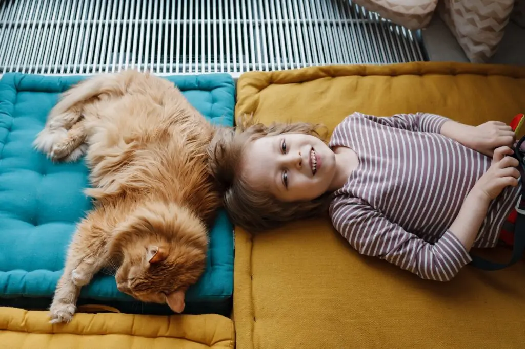 How We Can Help You Get Rid of Pest in Plantation FL.