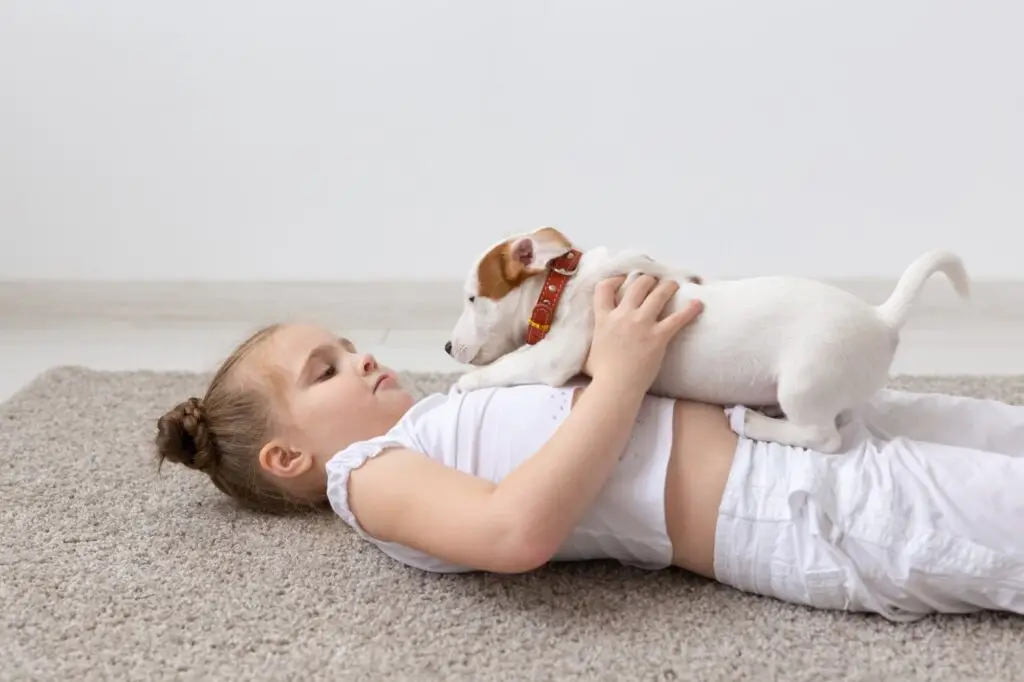 How We Can Help You Get Rid of Pest in Weston Florida.