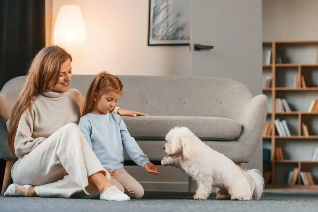 How We Can Help You Get Rid of Pest in Parkland FL.