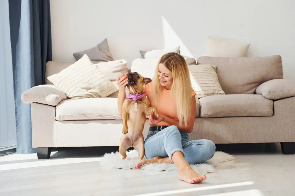 Natural Options Are Designed To Get Rid Of Pests While Keeping Your Living Environment Safer And Comfortable. Davie FL