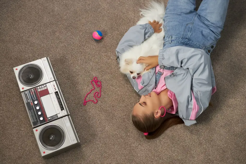 How We Can Help You Get Rid of Pest in Hollywood, FL.