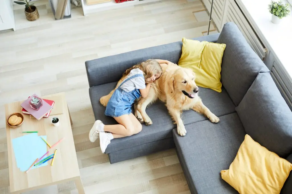 How We Can Help You Get Rid of Pest in El Portal FL.