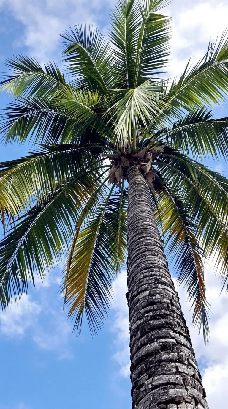 Looking for Pest Control Near Me In Bay Harbor Islands Florida