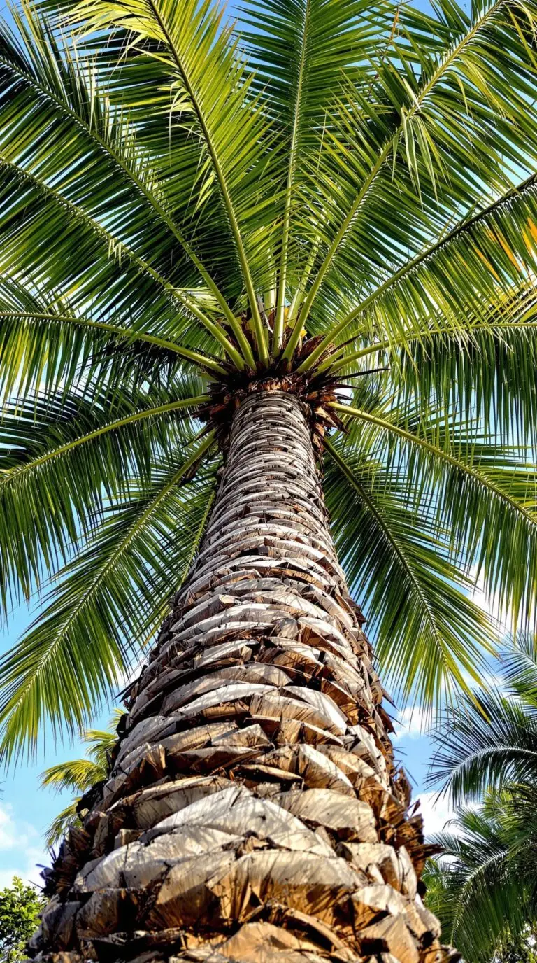Looking for Pest Control Near Me In Florida City Florida