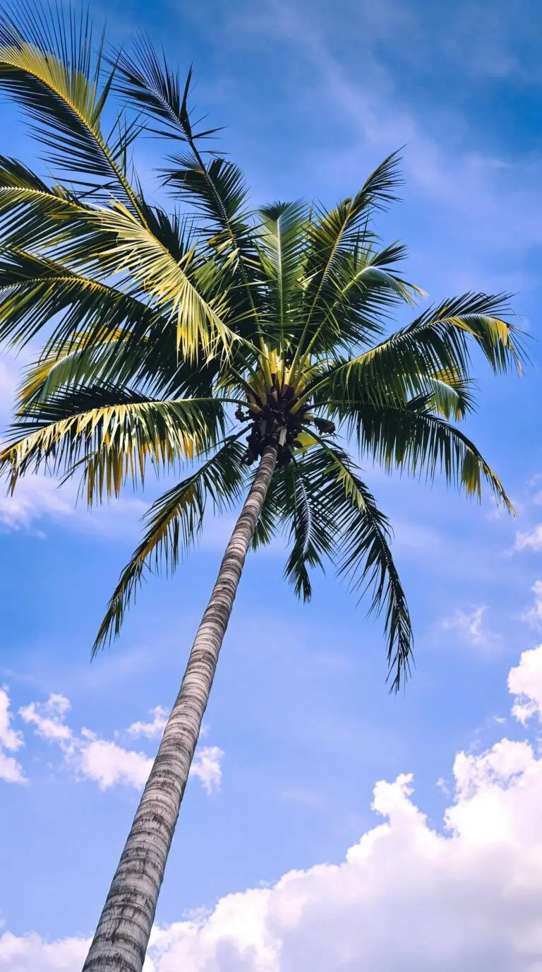 Looking for Pest Control Near Me In Medley Florida