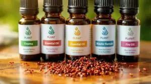 essential oils ant toxicity