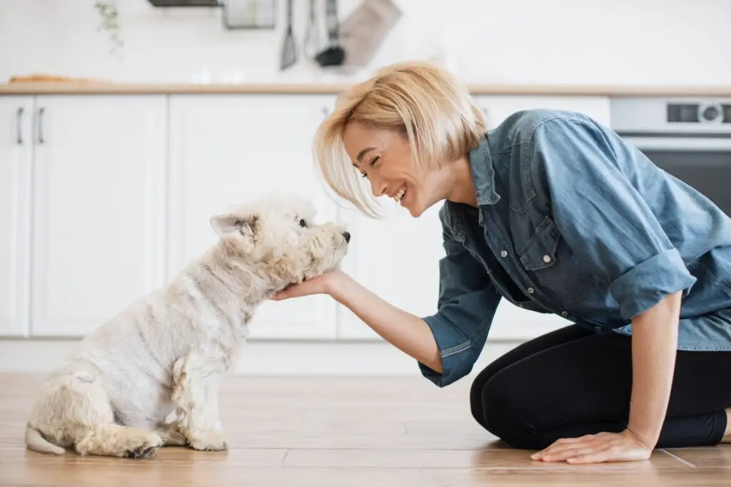 How We Can Help You Get Rid of Pest in Tamiami FL.