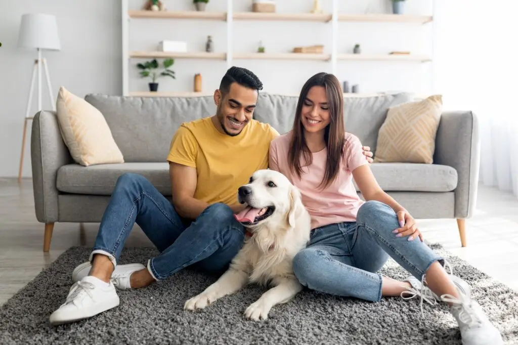 How We Can Help You Get Rid of Pest in Cutler Bay FL.