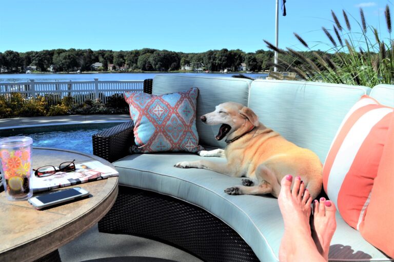 Outdoor living space on the lake! 💕nominated 🐶
