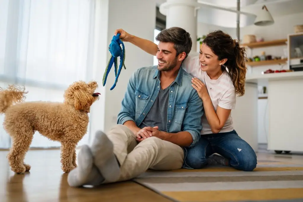 How We Can Help You Get Rid of Pest in North Bay Village FL.