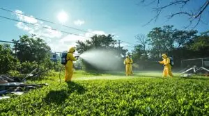 rat removal services florida