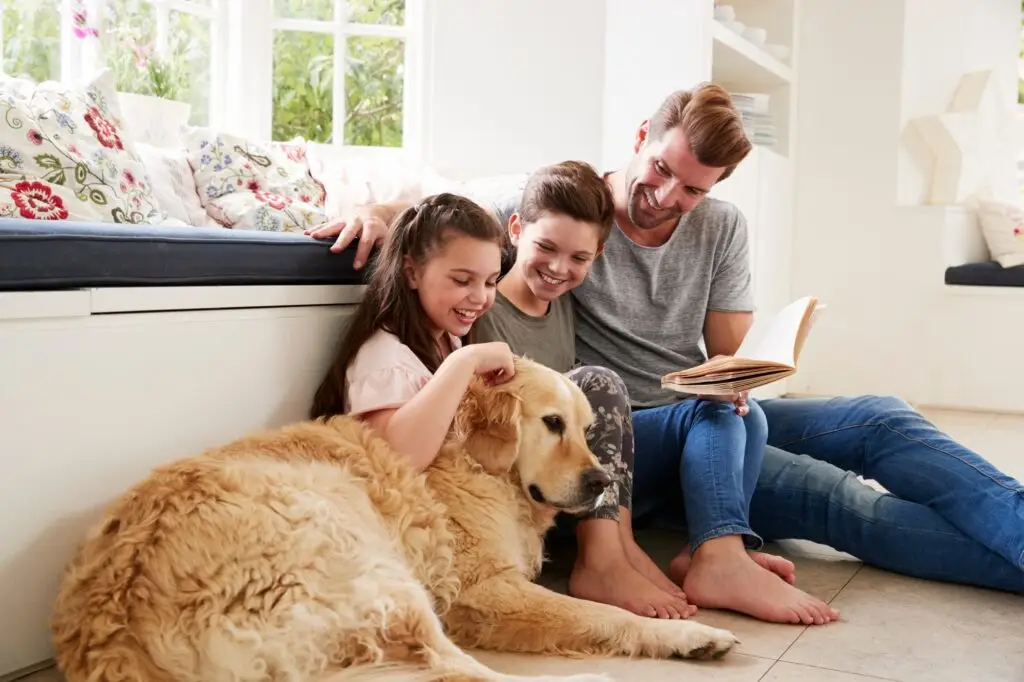 How We Can Help You Get Rid of Pest in West Park FL.