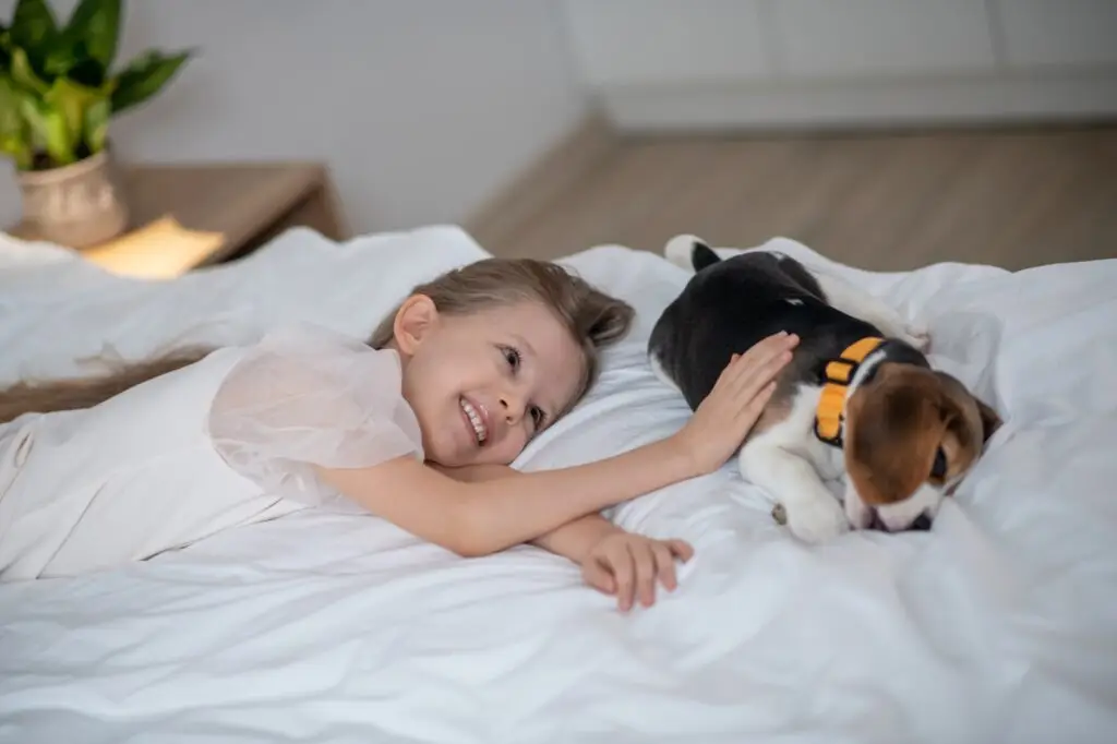 Happy female child spending time with her pet dog