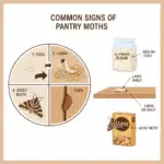 Illustrated diagram showing the four-stage life cycle of the Indian Meal Moth (egg, larva, pupa, adult) alongside common signs of infestation like webbing in food and larvae.